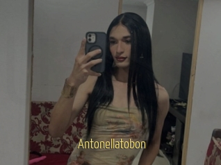 Antonellatobon