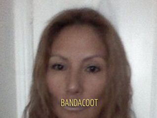 BANDACOOT