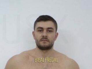 BIGALFREDXL