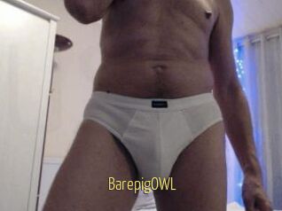 BarepigOWL