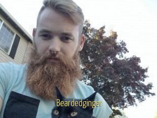 Beardedginger