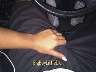 BigBoyLittleDick