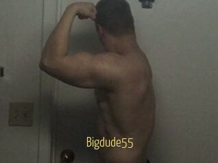 Bigdude55