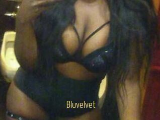 Bluvelvet