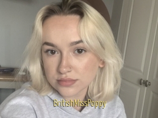 BritishMissPoppy