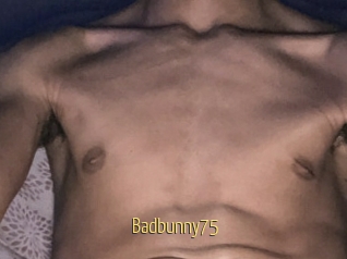 Badbunny75