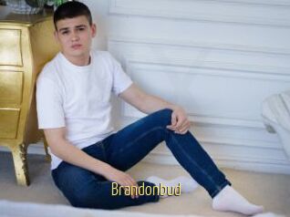 Brandonbud