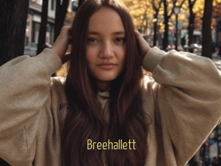 Breehallett