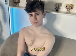 Brucevolt