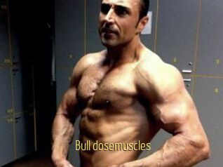 Bull_dosemuscles