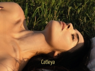 Catleya