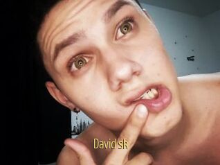 David_sk