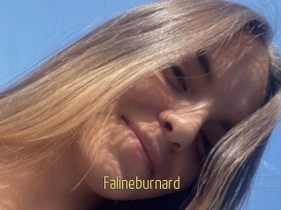 Falineburnard