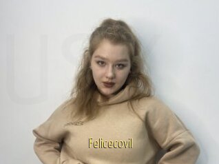 Felicecovil