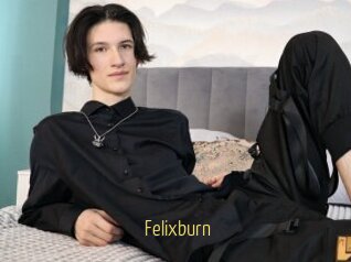 Felixburn