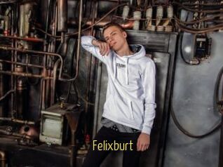 Felixburt