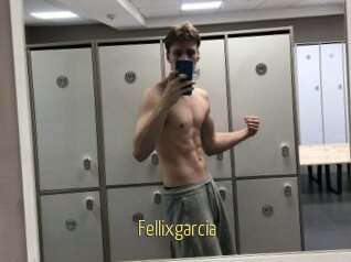 Fellixgarcia