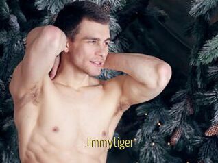 Jimmytiger