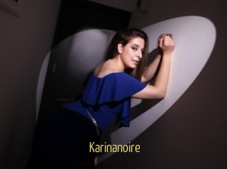 Karinanoire