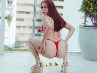 Linaymodel