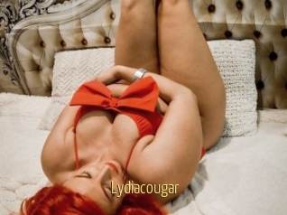 Lydiacougar