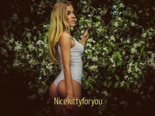 Nicekittyforyou