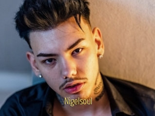 Nigelsoul