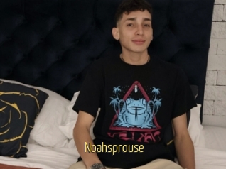 Noahsprouse