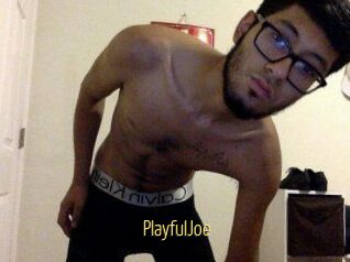 PlayfulJoe