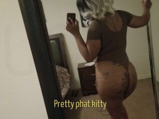 Pretty_phat_kitty