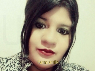 Pamelamilk