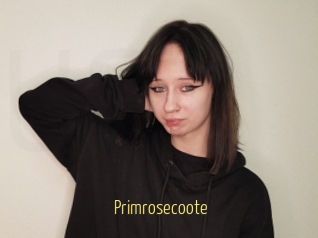 Primrosecoote