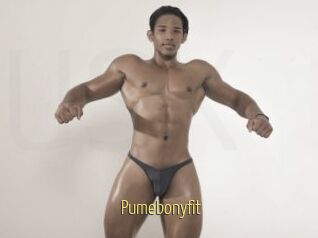 Pumebonyfit