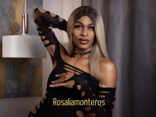 Rosaliamonteros