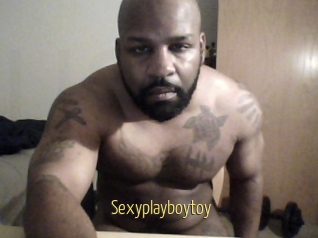 Sexyplayboytoy