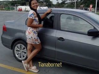 Tianabornet