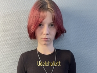 Udelehallett