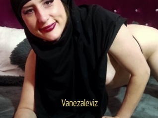 Vanezaleviz