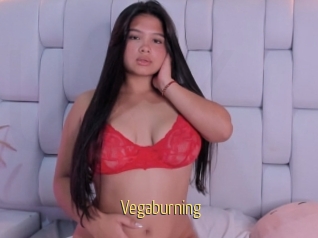 Vegaburning