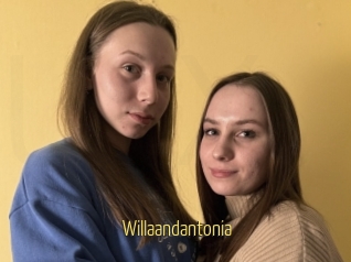 Willaandantonia