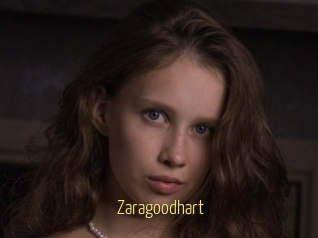 Zaragoodhart